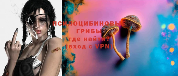 спайс Алексин