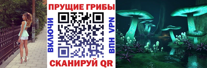 Псилоцибиновые грибы Magic Shrooms  закладка  сайты даркнета какой сайт  Суровикино 