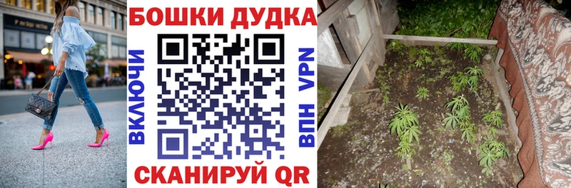 Бошки Шишки тримм mega маркетплейс Суровикино